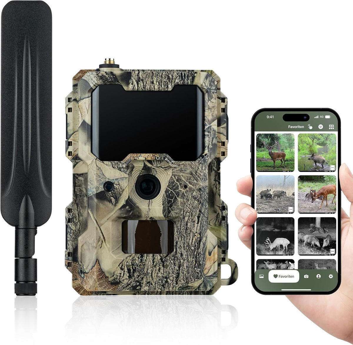 DÖRR Beobachtungsmonitore, Wildkamera Cloud Mini 4G, App, Simlockfrei, Überwachungskamera