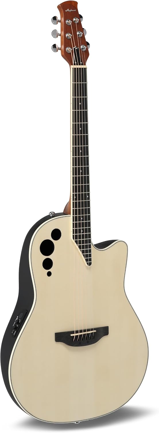 Elektro-Akustische Gitarren